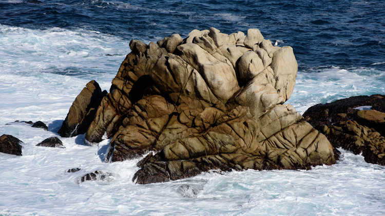 Point Lobos Whalers Cove - Rocks in Ocean